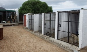 Naderende BARC-Gholfdag